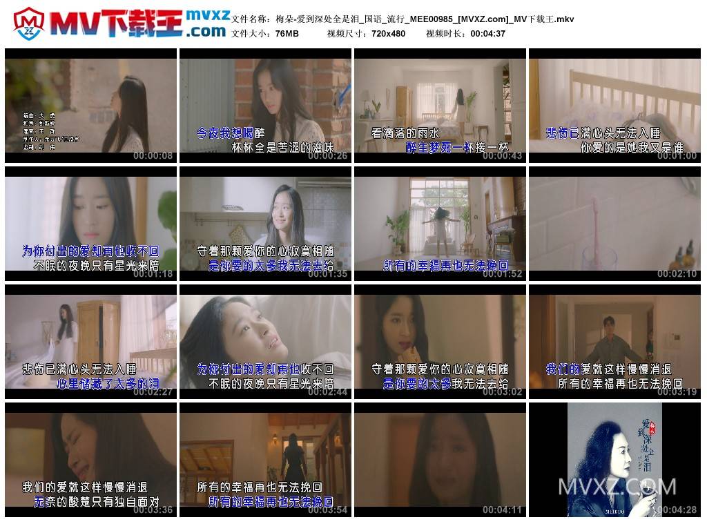 梅朵-爱到深处全是泪_国语_流行_MEE00985